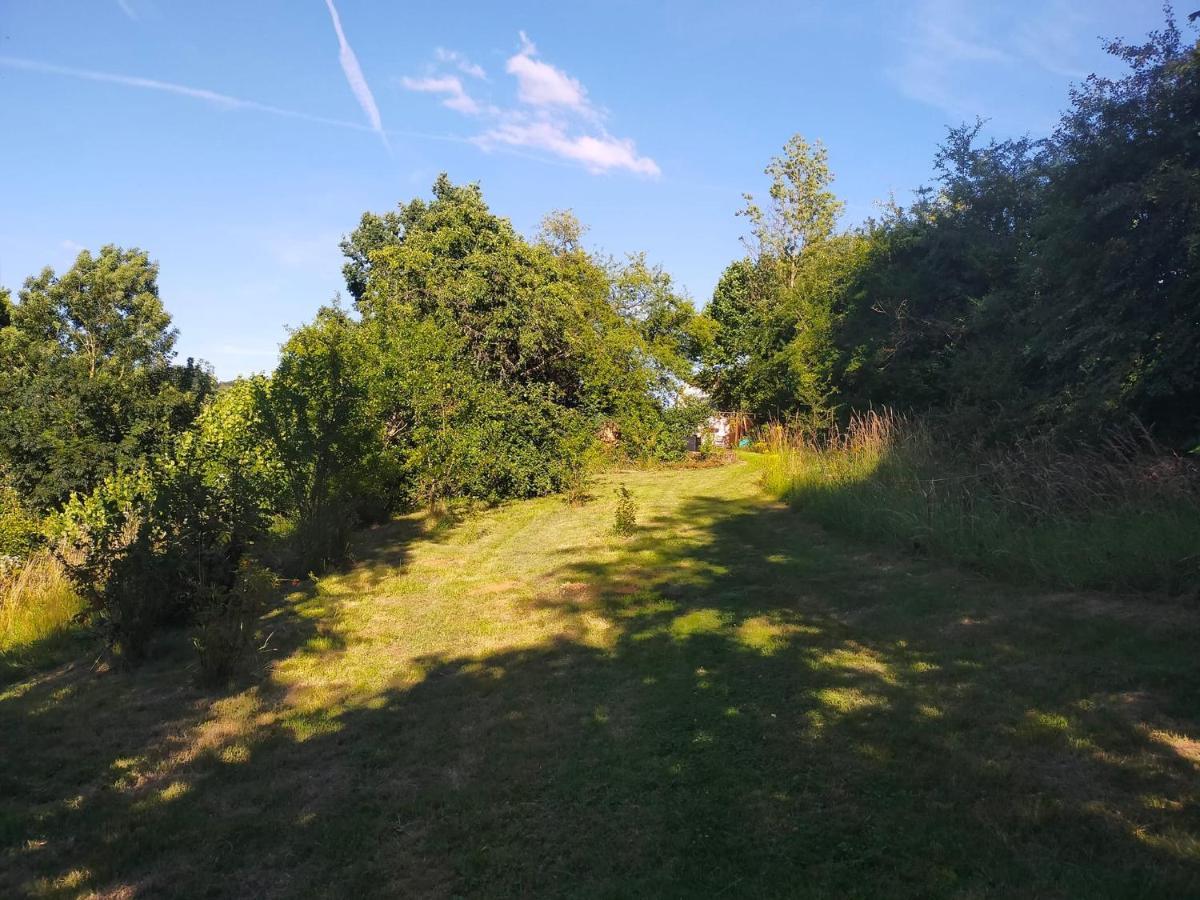 Tiny Messancy, Une Immersion Dans La Nature ! Kültér fotó